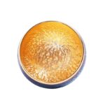 Golden Magic Tea Cup - Image 2
