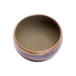 Succulent Shaving Bowl - Image 2